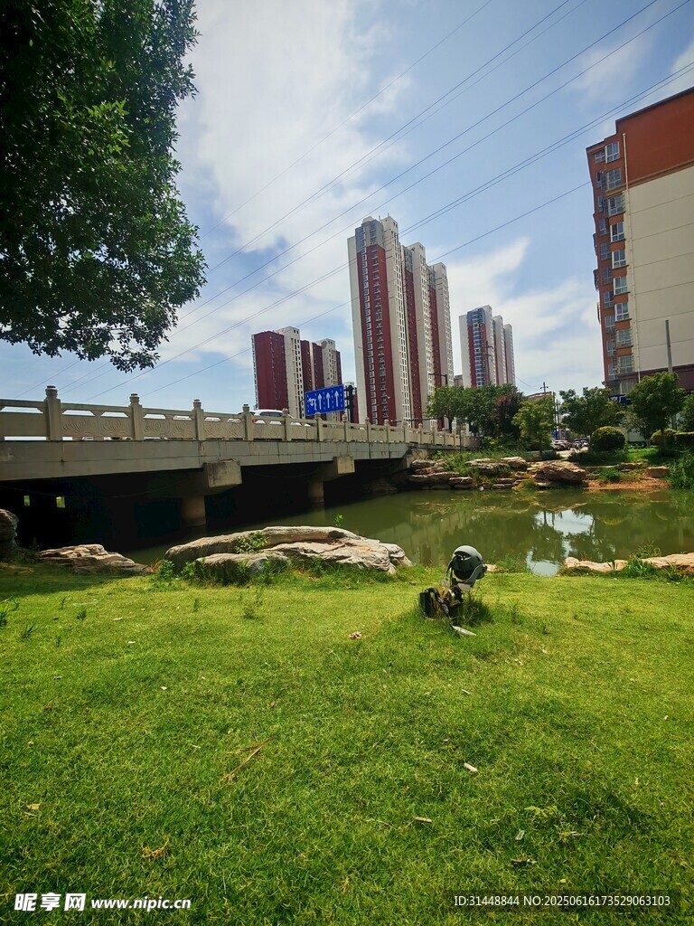 城市綠地中的橋與高樓景觀
