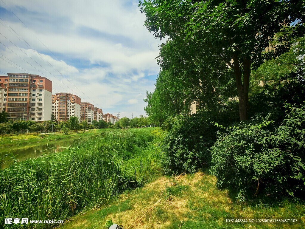 城郊綠意盎然的自然景致