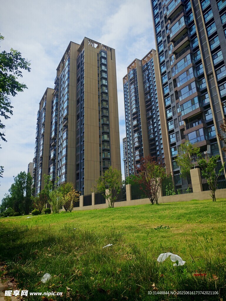 城市高樓旁的翠綠草地
