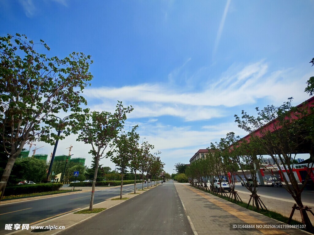寬闊道路旁綠樹藍天美景