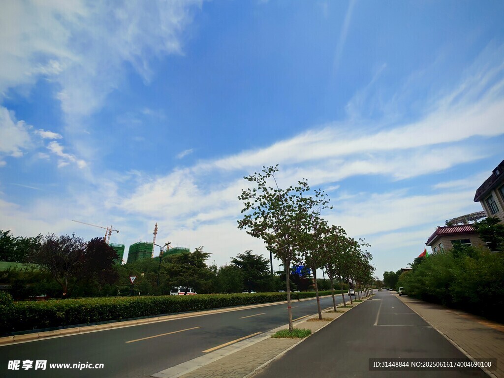 寬闊道路旁的藍天綠樹