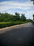 寬闊道路旁的綠植景觀