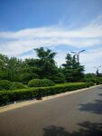 寬闊道路旁的綠植景觀