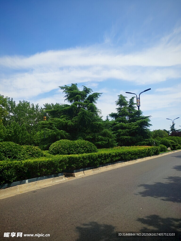 寬闊道路旁的綠植景觀