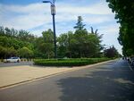 城市道路旁的綠樹景觀