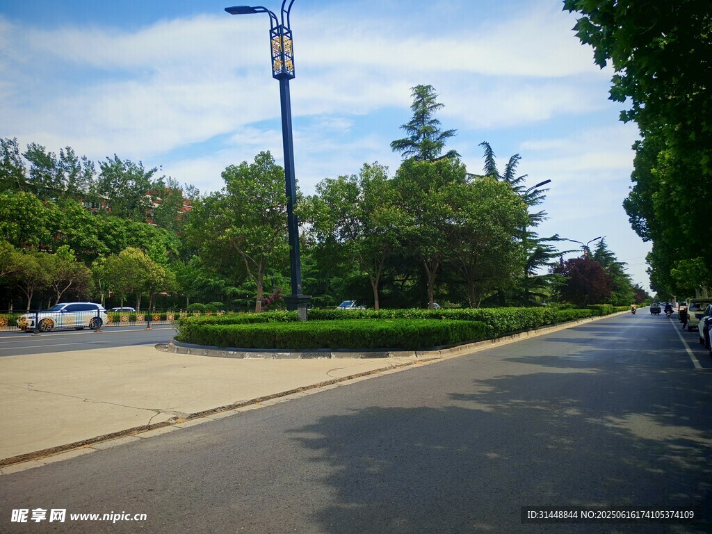 城市道路旁的綠樹景觀