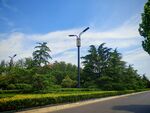 城市道路旁的綠植與路燈