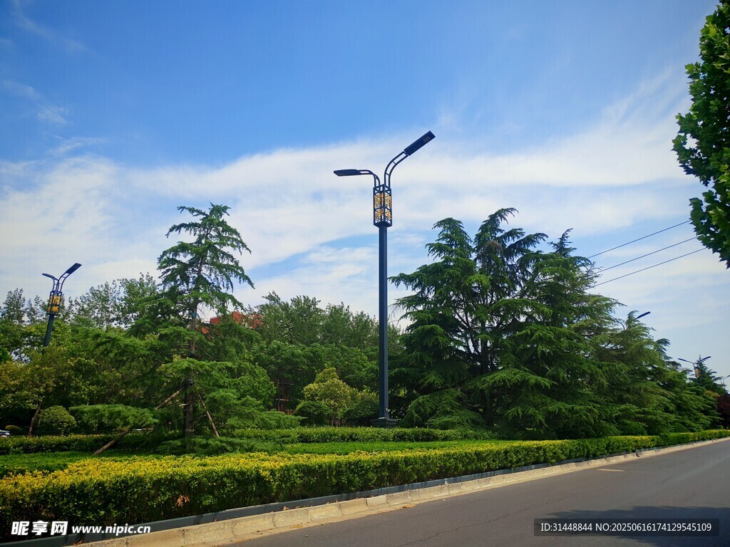城市道路旁的綠植與路燈