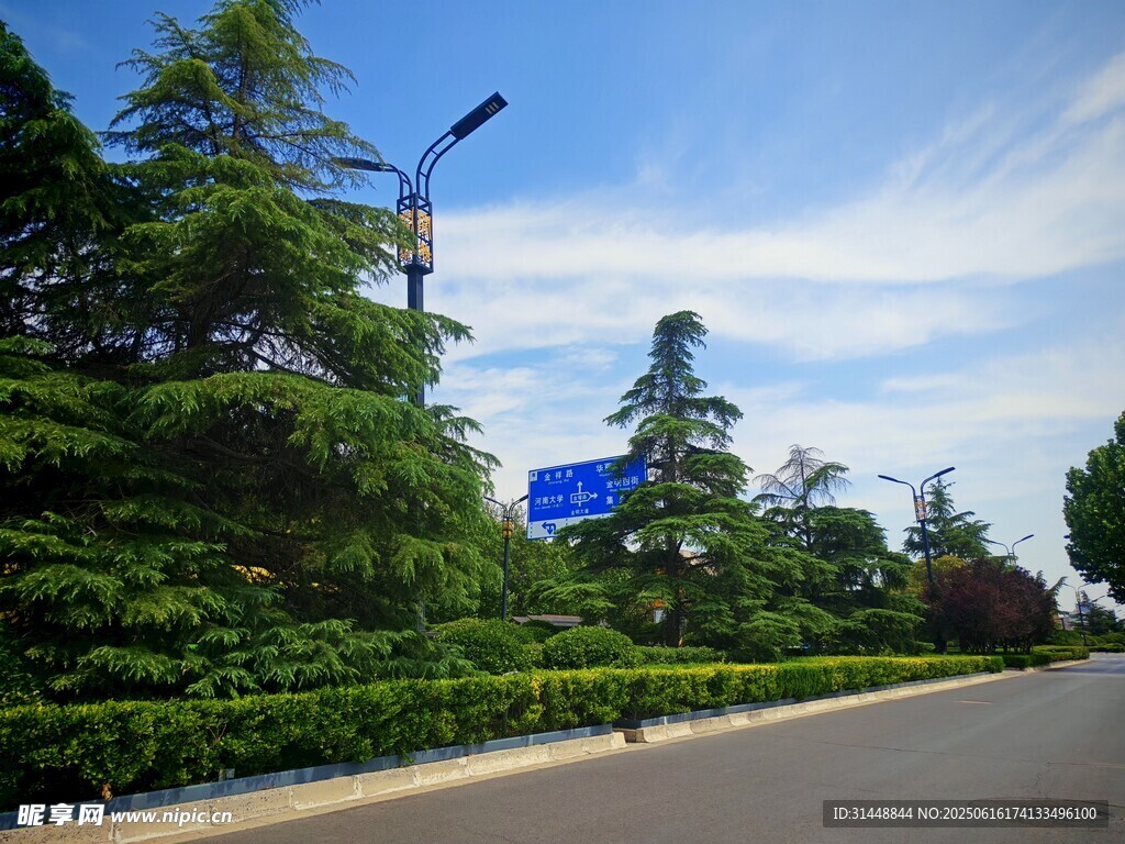 道路旁綠意盎然的景致