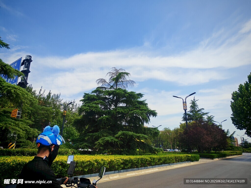 騎行者在綠樹成蔭道路上