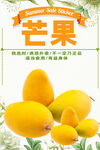 新鮮芒果