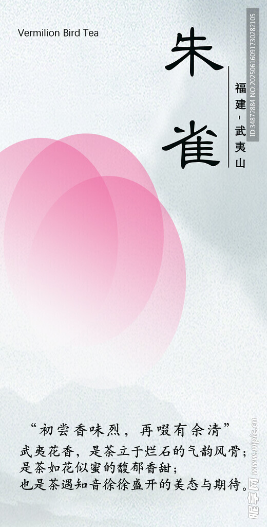 茶卡設計組圖