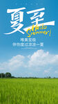 夏至 