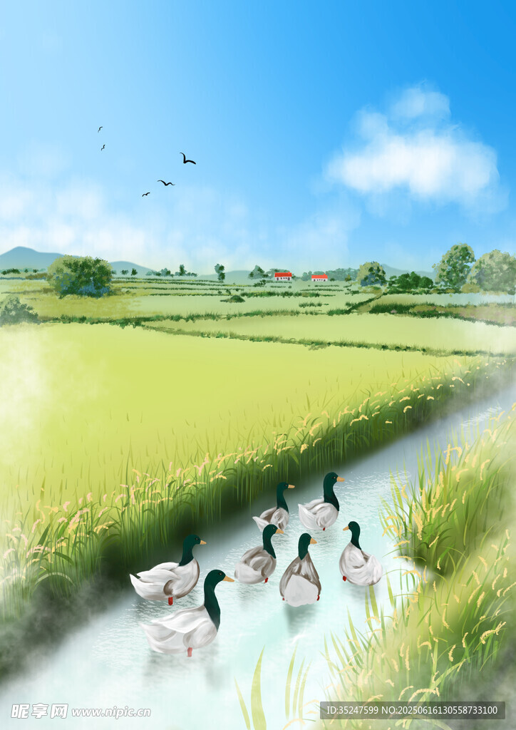 稻田嬉戲鴨群風景
