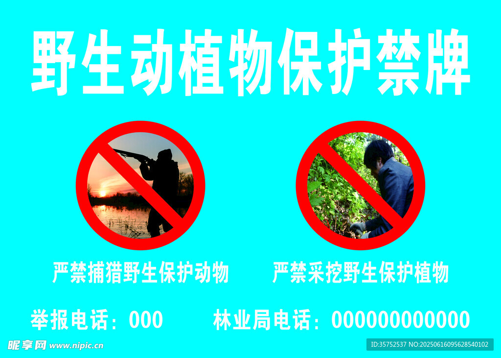 野生動植物保護禁牌