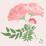 粉色花卉插畫