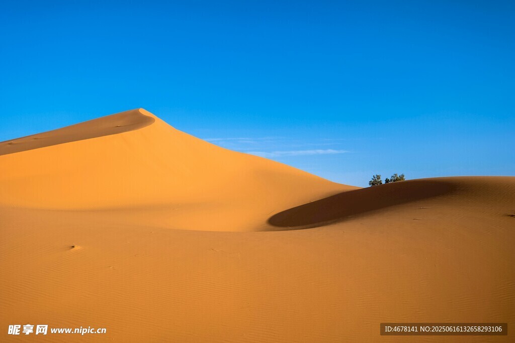 金色沙漠 藍天映襯美景