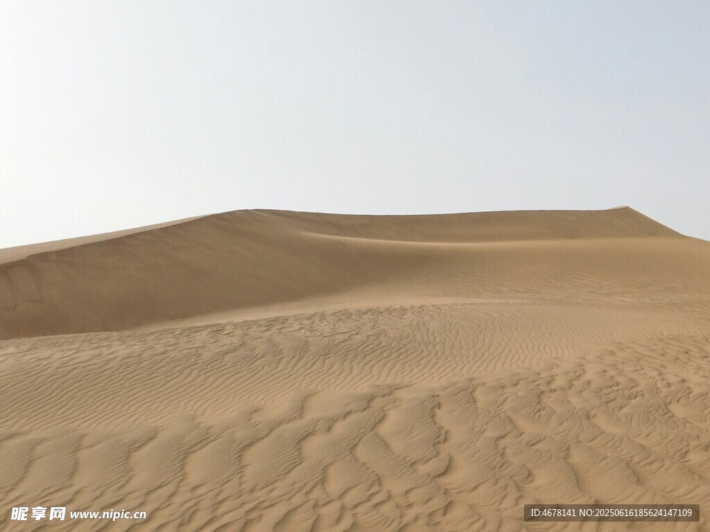 廣袤沙漠景觀
