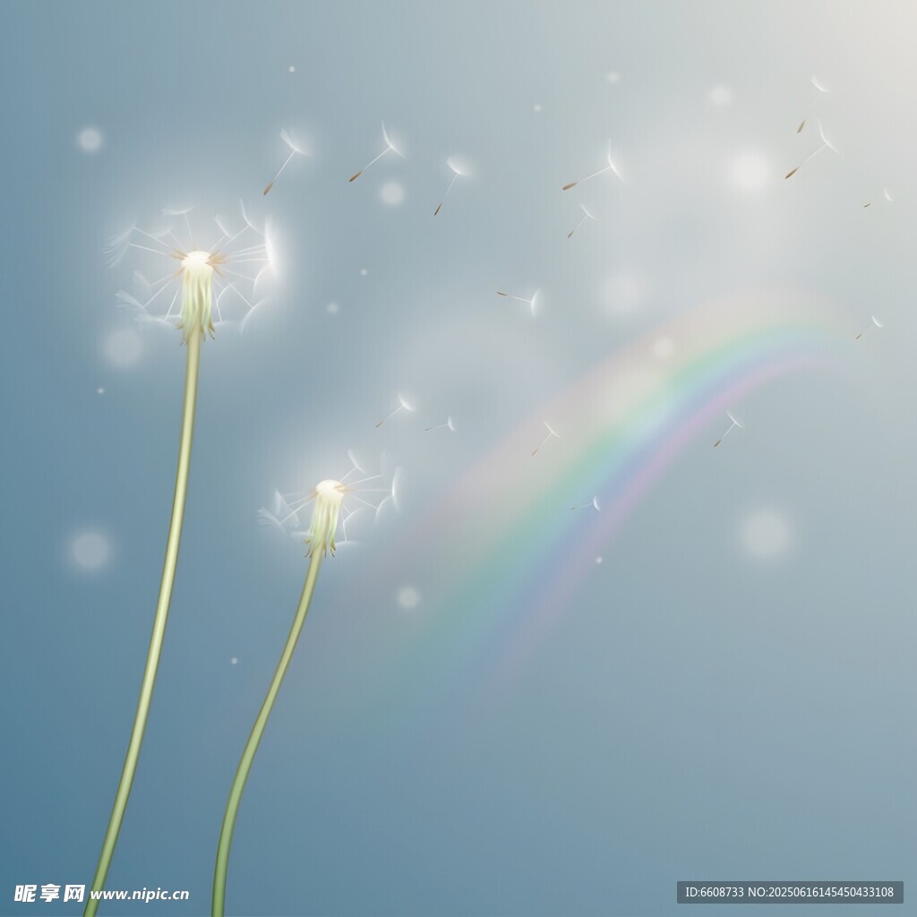 夢幻蒲公英與天邊彩虹