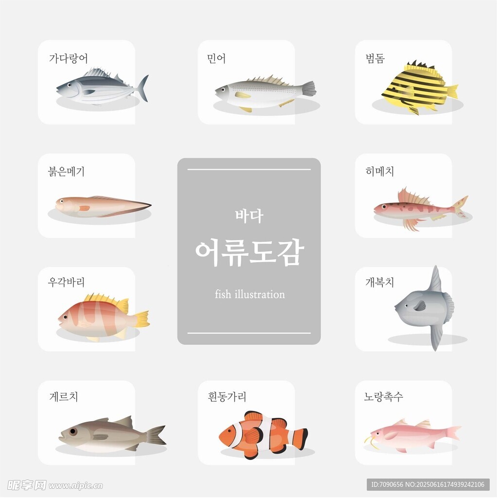 多樣魚類展示