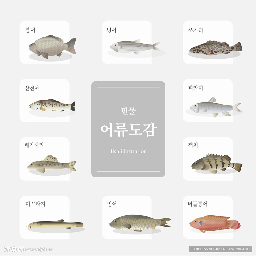 多種魚類展示