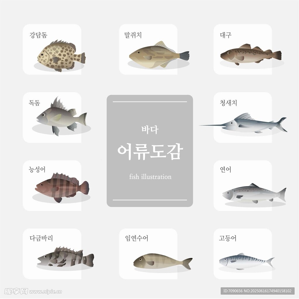 多種魚類展示