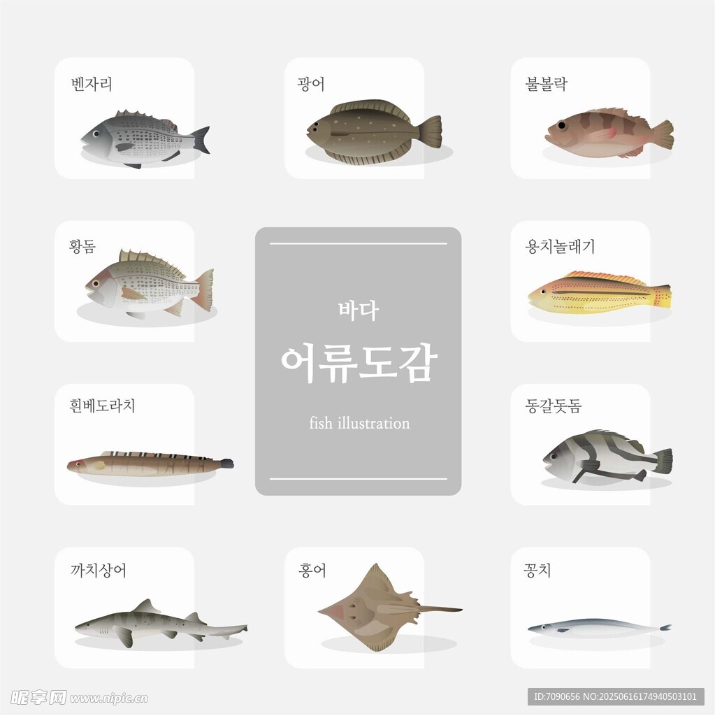 多種魚類展示