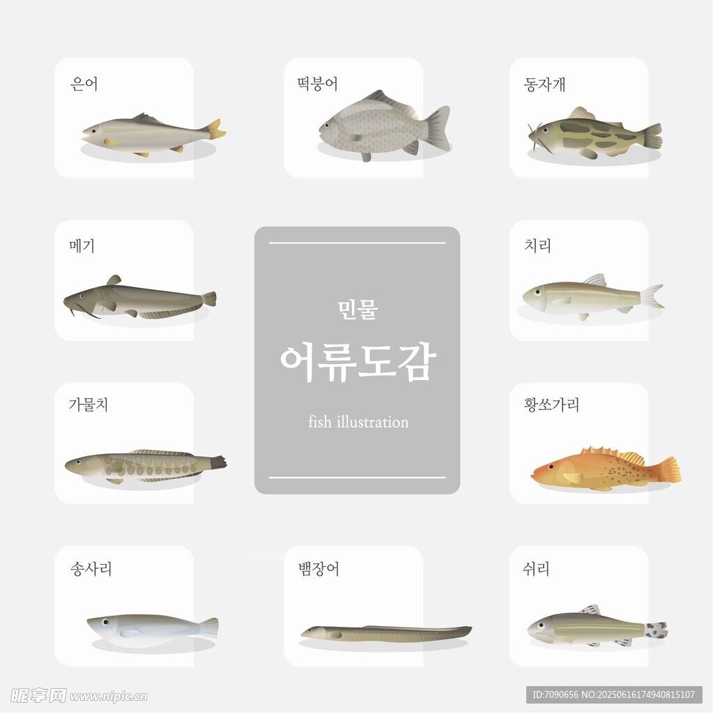 多種魚類展示
