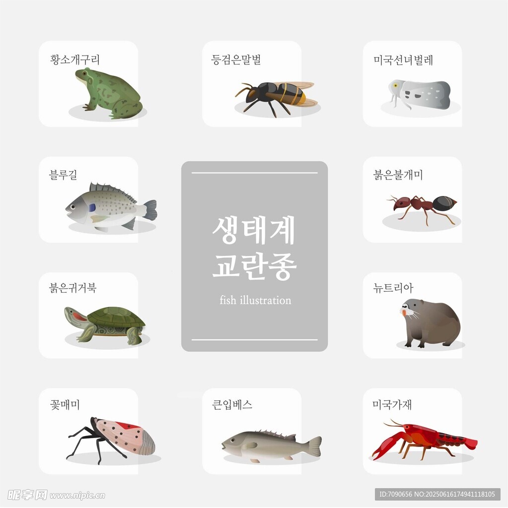 常見池塘小生物 