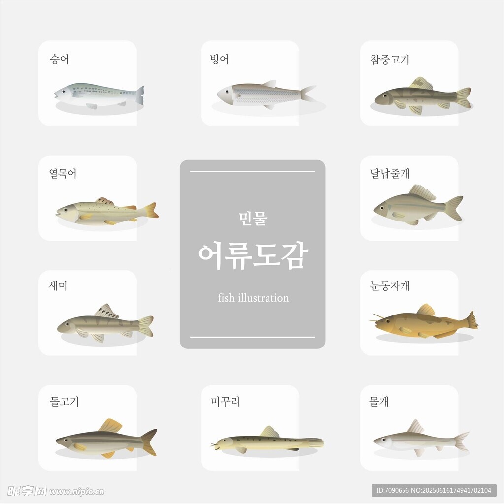 多種魚類 