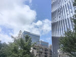 城市高樓與綠樹相映成趣
