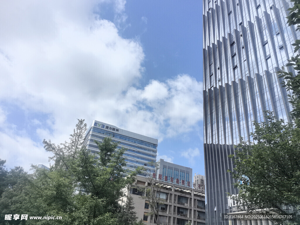 城市高樓與綠樹相映成趣