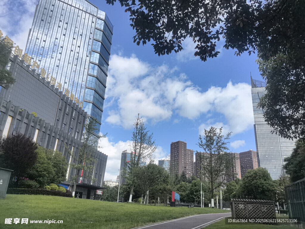 城市中的綠地與高樓景觀
