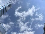 仰望城市上空的藍天白云