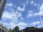 藍天白云下的戶外景致