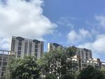 城市高樓與綠樹藍天白云