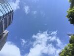 仰望城市藍天綠樹景觀