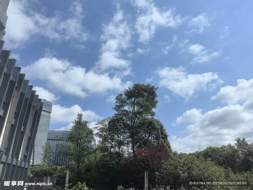 戶外藍天綠樹建筑景觀