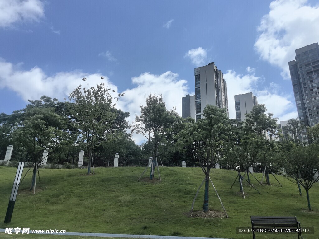城市中的綠意公園景觀