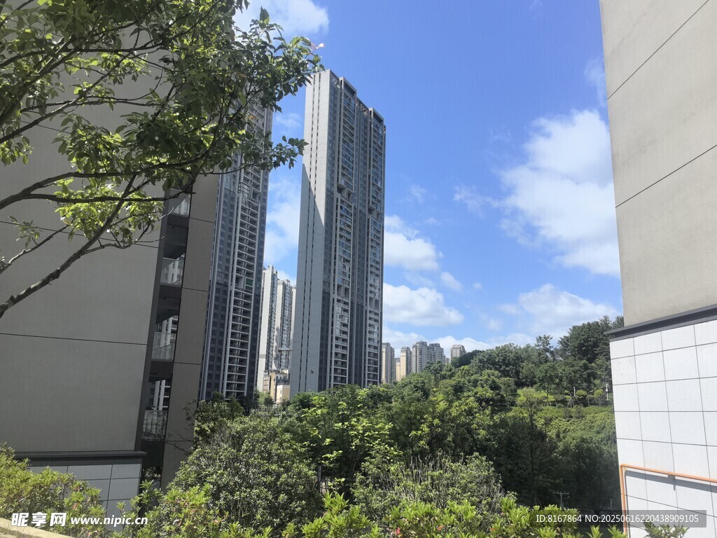 城市高樓與綠植景觀