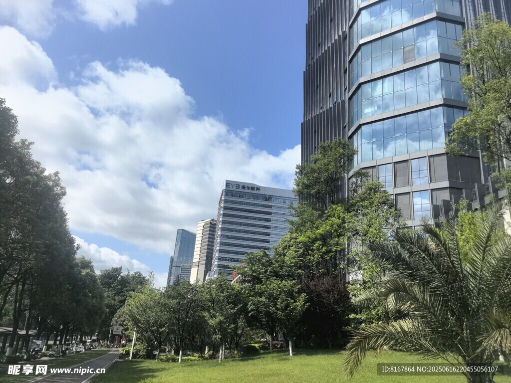 城市中的高樓與綠植景觀
