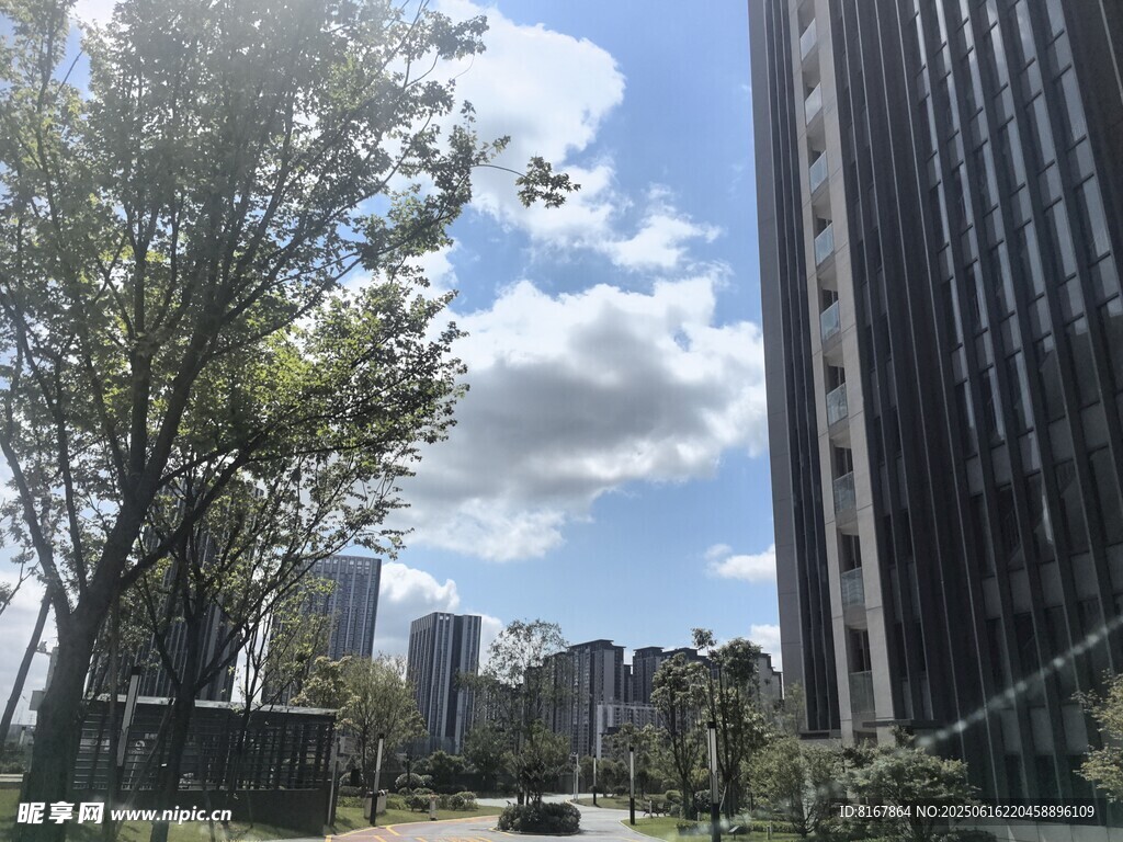 城市街道旁的高樓與綠樹