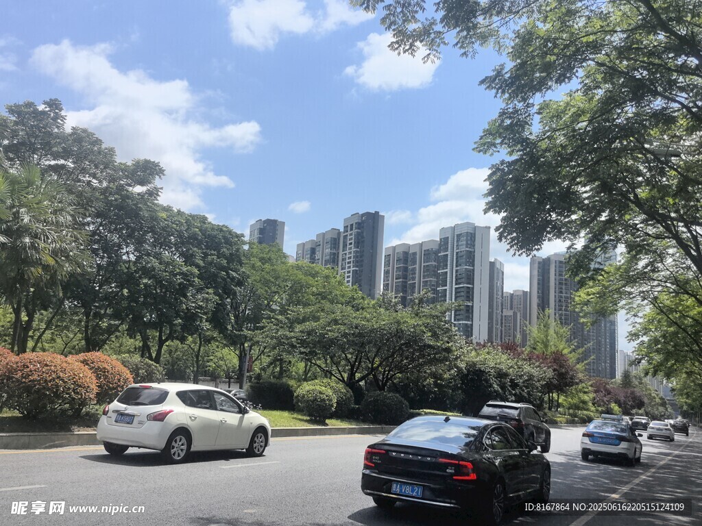 城市道路旁的綠樹(shù)與車輛