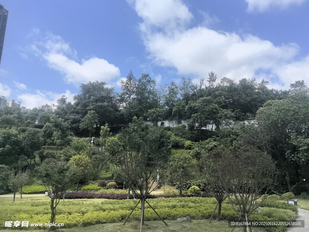 戶外綠意盎然的自然景致