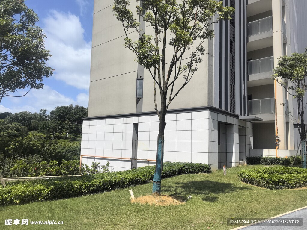 現(xiàn)代住宅旁的綠植景觀