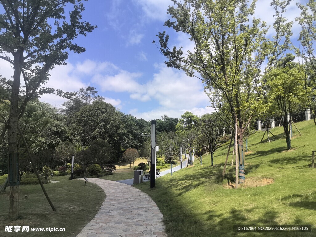 漫步林間小道的愜意時光
