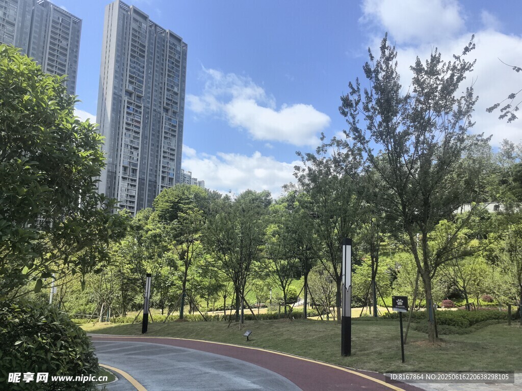 城市公園中的綠樹與步道
