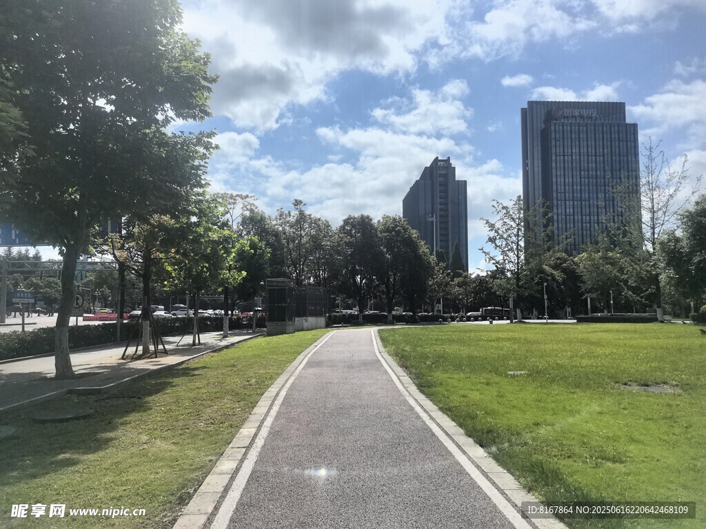 城市中的林蔭步道