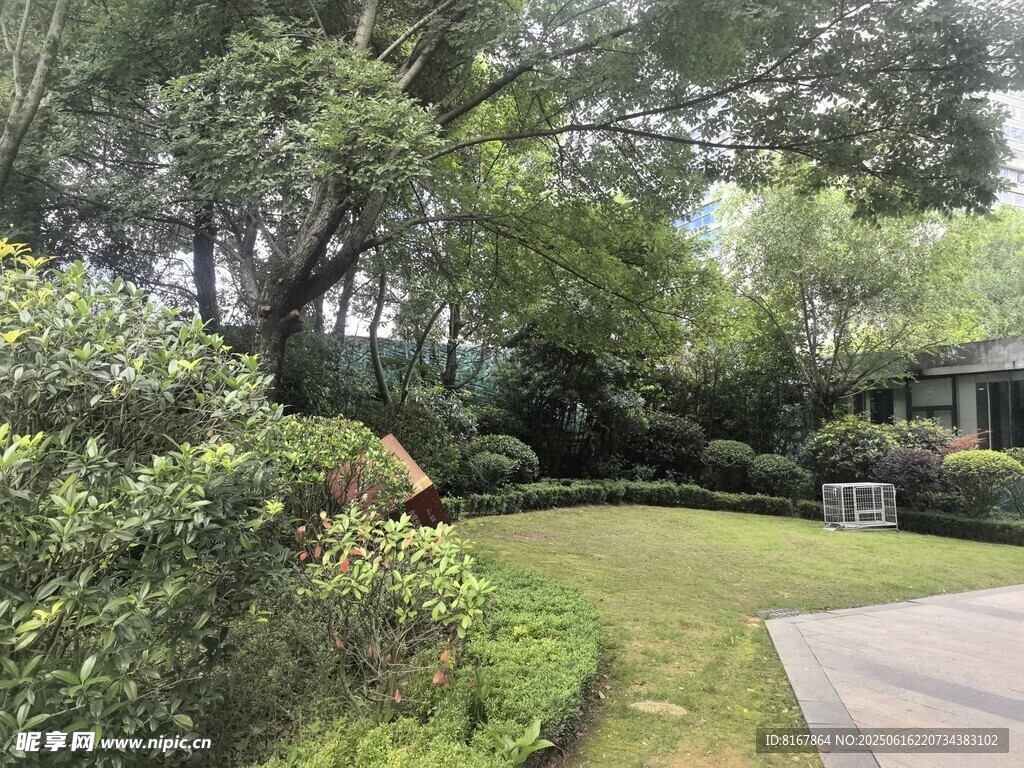 靜謐庭院綠植景觀