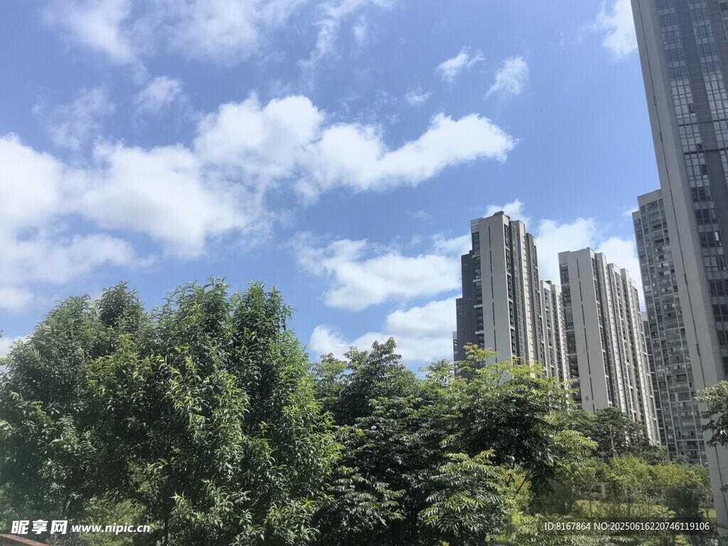 城市高樓與綠樹藍天白云